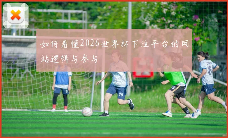 如何看懂2026世界杯下注平台的网站逻辑与参与